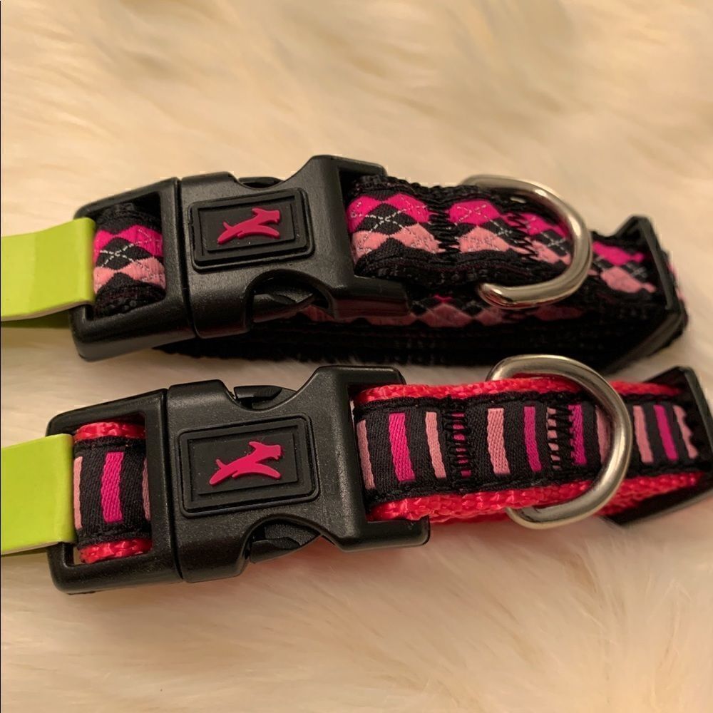 jump Nylon Dog Clip Collar